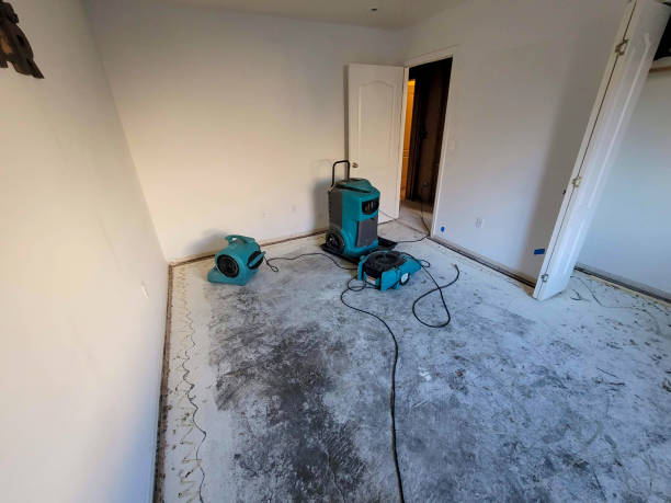 Best Water damage restoration company  in Moorefield, WV