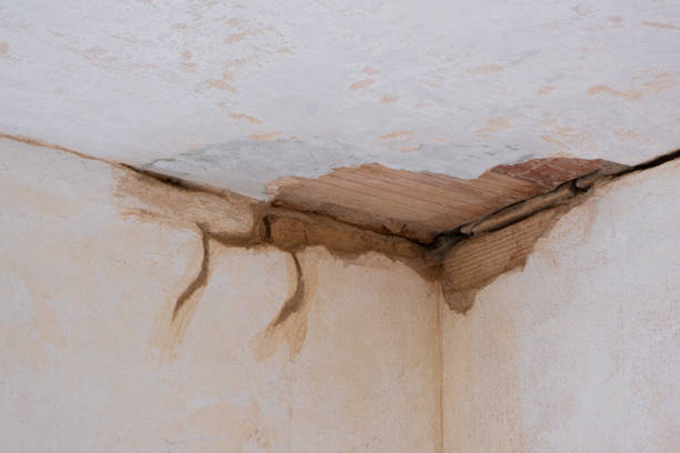 Best Emergency water damage restoration  in Moorefield, WV