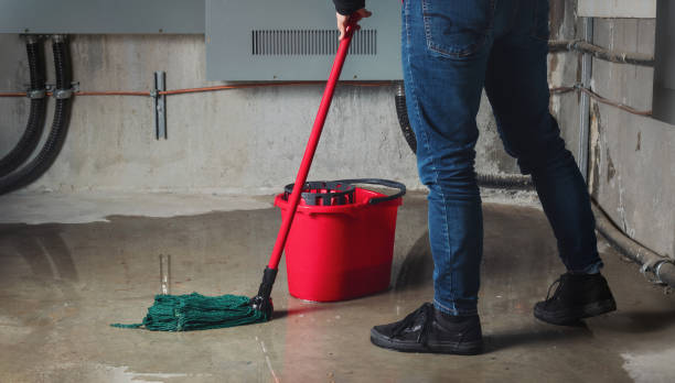 Best Flooded house restoration  in Moorefield, WV