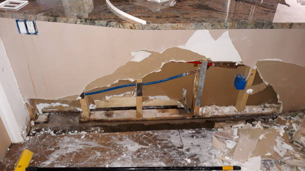 Best Residential water damage restoration  in Moorefield, WV