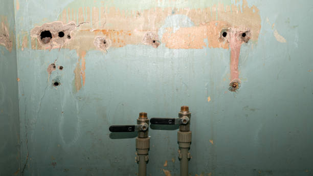Best Water damage restoration mold remediation  in Moorefield, WV