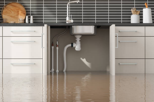 Best Fire Damage Restoration  in Moorefield, WV