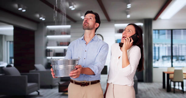 Best Water damage restoration cost  in Moorefield, WV