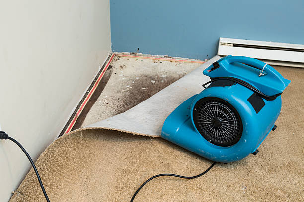 Best 24/7 water damage repair  in Moorefield, WV